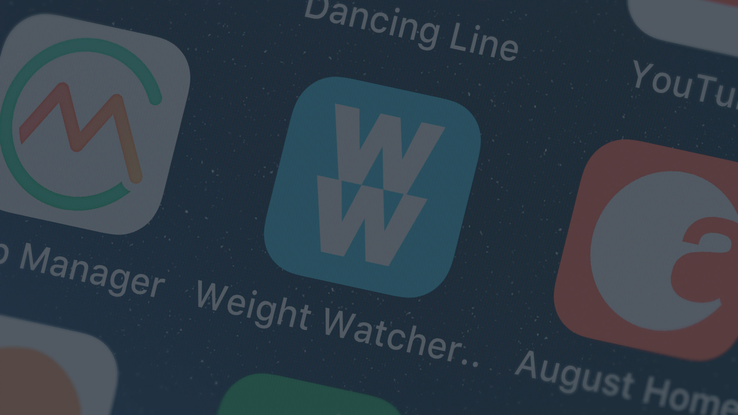 weight watchers app icon
